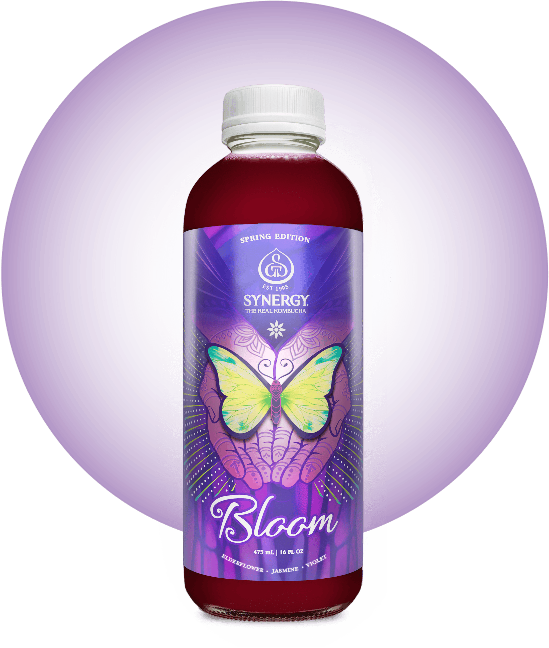 GT's Bloom SYNERGY Raw Kombucha Bottle