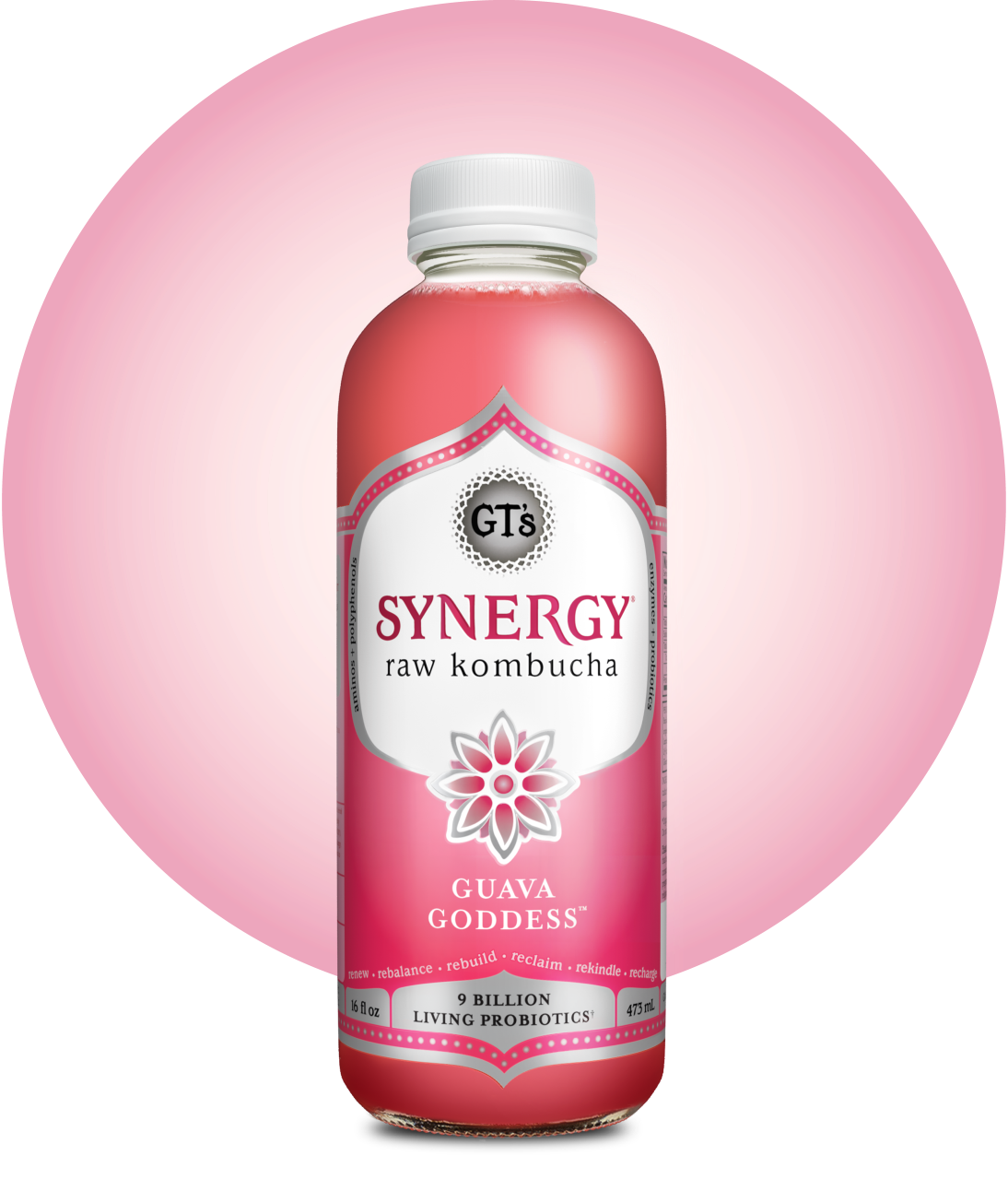 GT's SYNERGY Raw Kombucha Guava Goddess Bottle