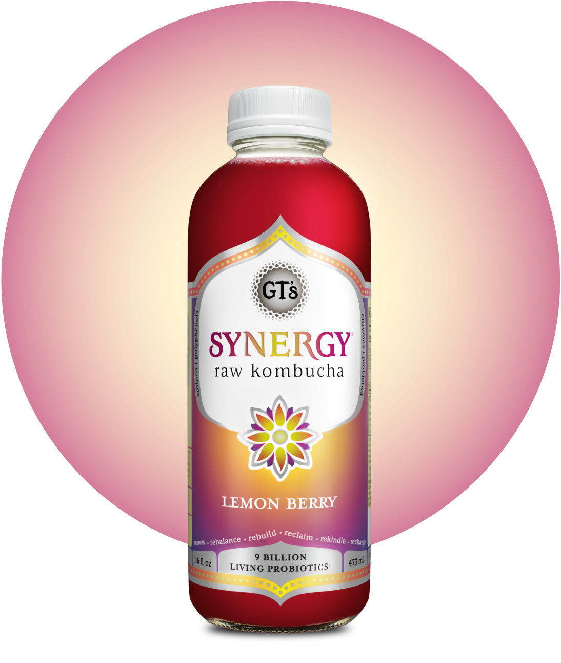 GT's SYNERGY Raw Kombucha Lemon BerryBottle