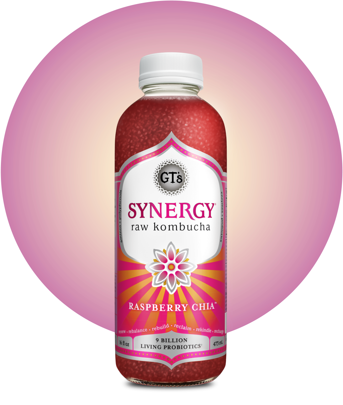 GT's SYNERGY Raw Kombucha Raspberry Chia Bottle