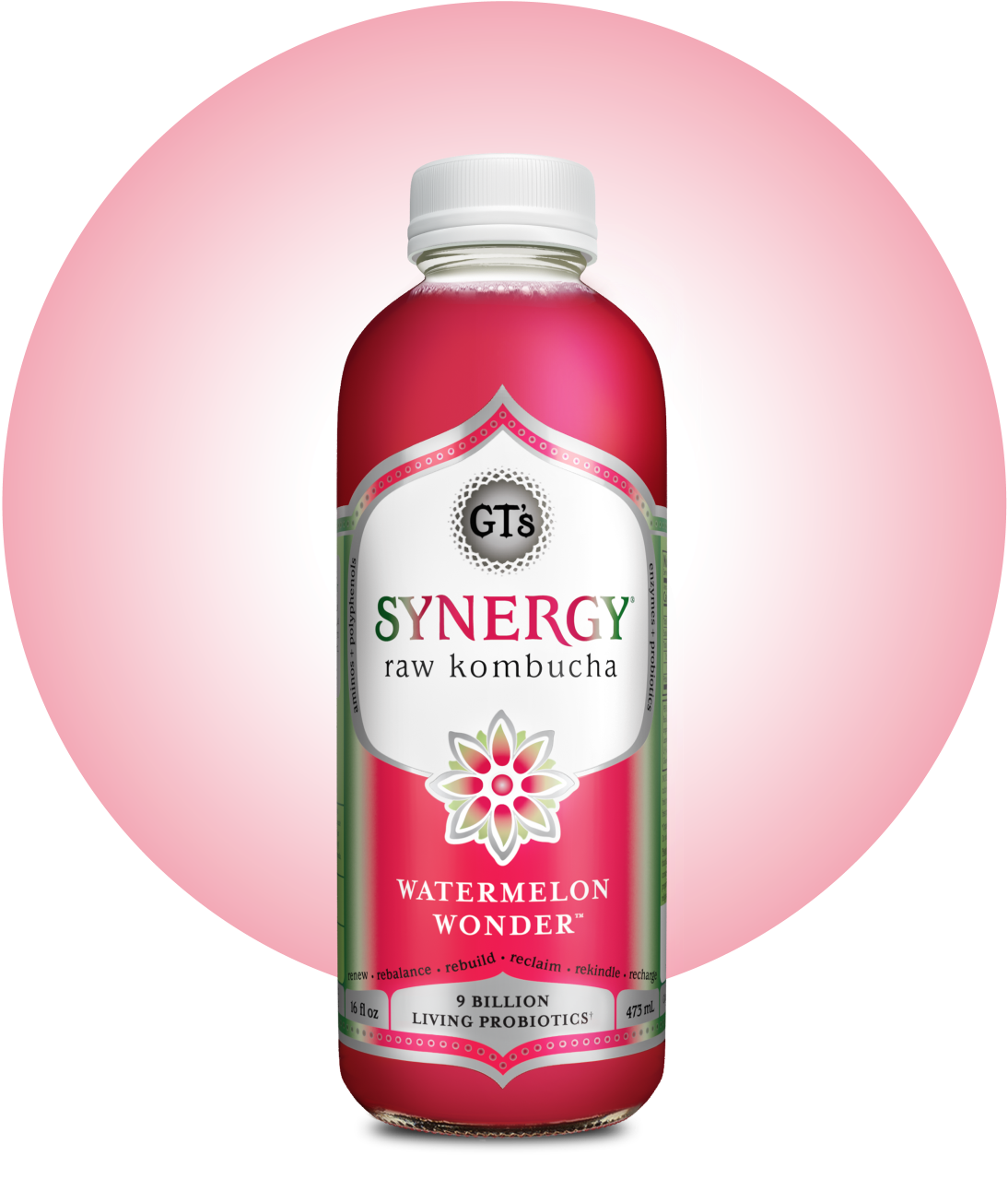 GT's SYNERGY Raw Kombucha Watermelon WonderBottle